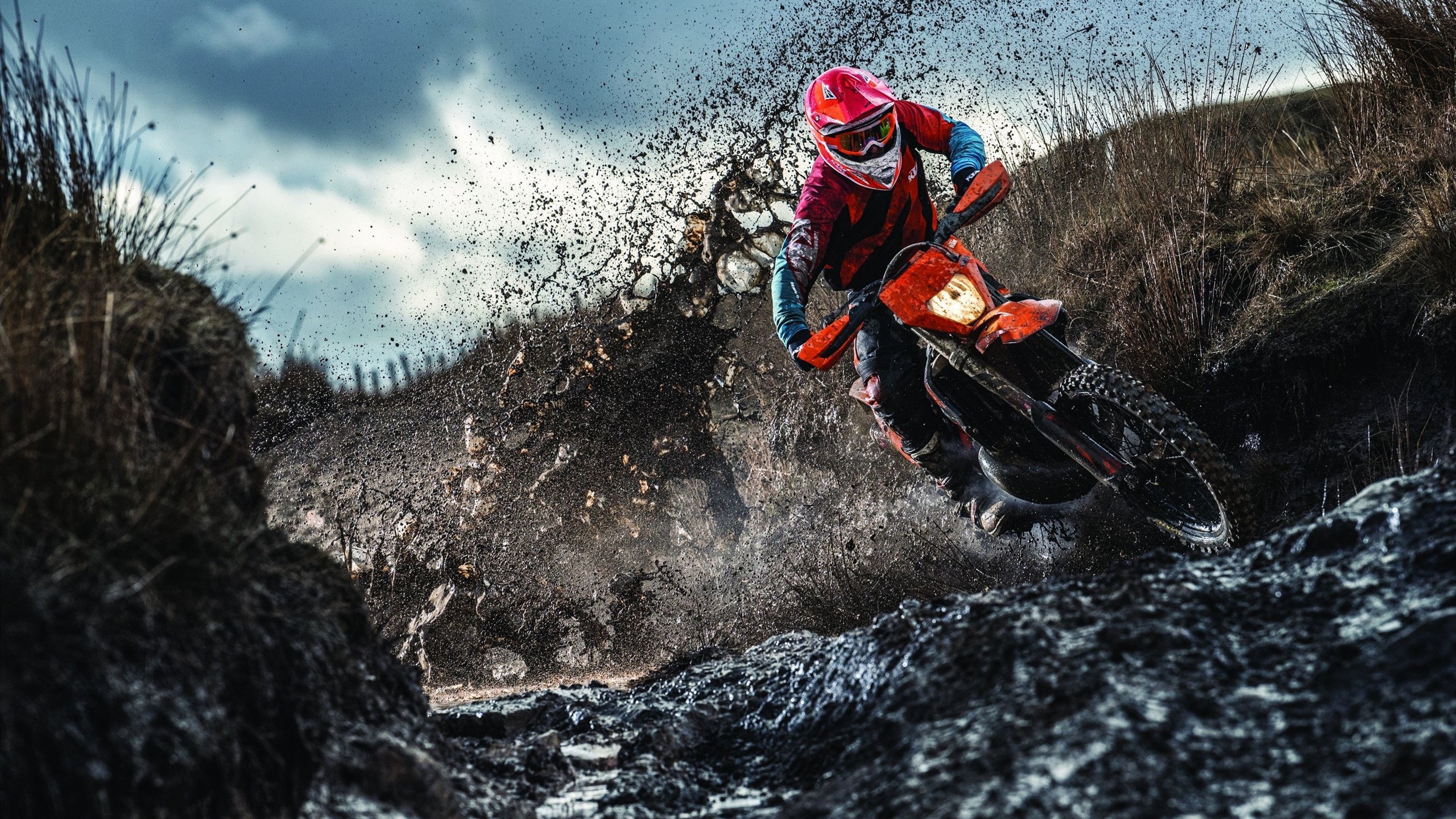 安哥拉提前终结悬念，阿尔及利亚出局；卡马文加在NBA总决赛接管比赛